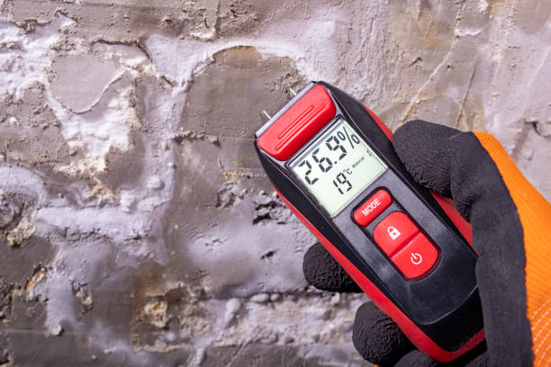 Best Residential Mold Remediation in Durant, OK