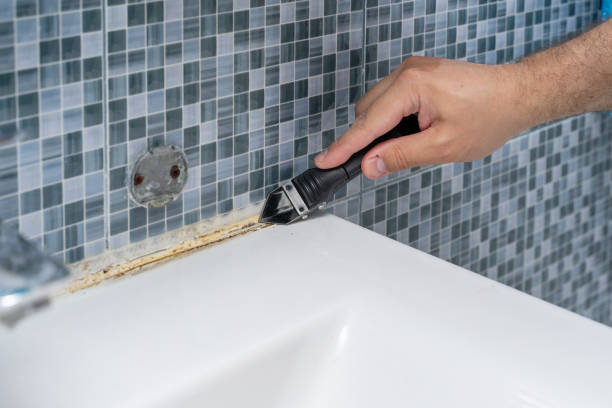 Best Industrial Mold Remediation in Durant, OK